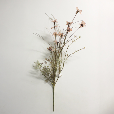 00000182752.1 00000182752.1