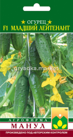 Огурец Младший лейтенант F1 Манул