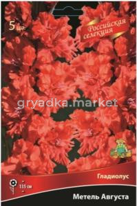 Гладиолус гофрированный Метель Августа 5шт (ало-краный с оранжевыми нотками)