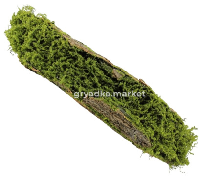 Кора со мхом 