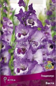 Гладиолус крупноцветковый Виста 5шт (сиреневый с пурпурными и белыми пятнами, 12-14)