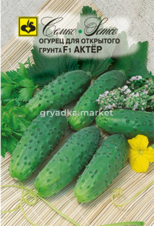 Огурец Актер F1,Парт,холод,белошип, Семко