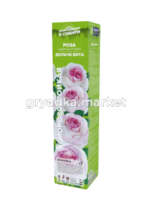 Дольче вита-Photoroom