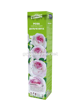 Дольче вита-Photoroom