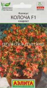 Колеус Колоча F1 роуз 5шт Мн 50см (Аэлита)