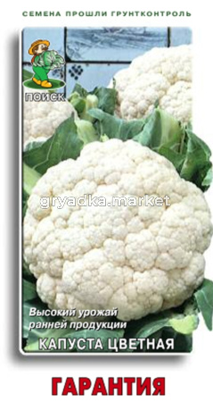 Капуста цветная Гарантия (ЦВ) 0,5гр.Поиск