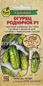 Родничок
