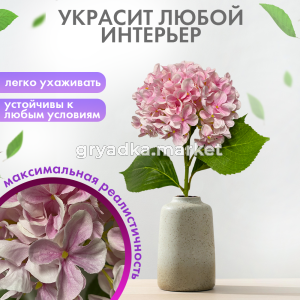 гортензиярозовая3