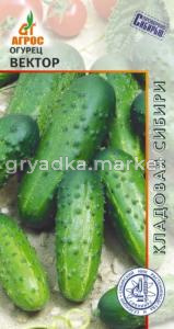 Огурец Вектор 10шт-ПЧсалат,бугорч,отл.вкус!(Агрос)