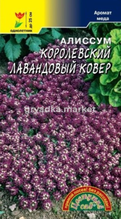Алиссум Лавандовый ковер Королевский (Цвет сад)