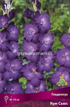 Гладиолус крупноцветковый Кум Сьюс (фиолетово-сиреневый со светлеющим центром, 10шт, 10-12)