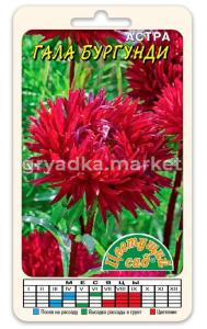 Скриншот 19-01-2024 083728