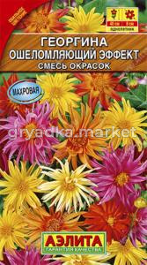 Георгина Ошеломляющий эффект,смесь окрасок Аэлита