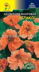 Настурция Абрикос ,МАХР. Цвет.Сад