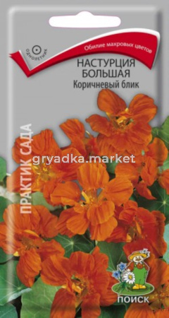 Настурция Коричневый Блик,большая 1г. Поиск