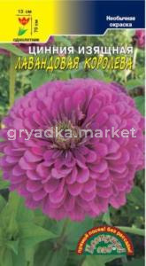 Цинния Лавандовая королева Цвет.сад.