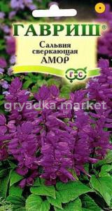 Сальвия Лавандовая Амор 5шт Гавриш