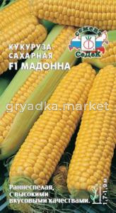 Кукуруза Мадонна сах. (Седек)
