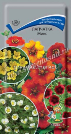 Лапчатка Микс (ЦВ) (