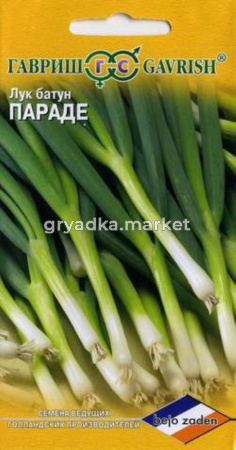Лук батун Параде 0,5г.на зелень (Голландия) Гавриш