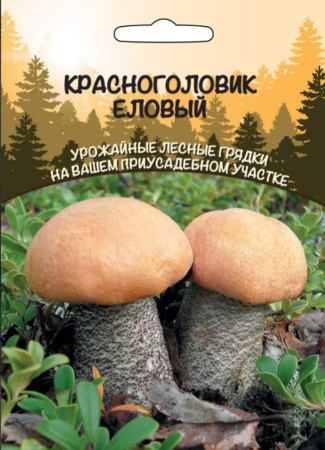 Мицелий Красноголовик гриб Еловый 30мл (ССПК) Б-Ф