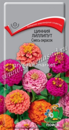 Цинния Смесь окрасок, лиллипут 0,4г Поиск