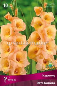 Гладиолус крупноцветковый Эста Бонита 10шт (кремово-лососевый, 10-12, h110см)