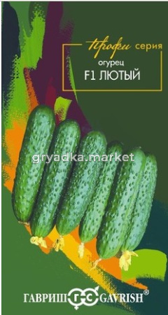 Скриншот 05-06-2026 095132