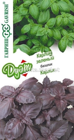 Базилик Карлик 0,1г+ Карлик зеленый 0,1г (Гавриш) Дуэт