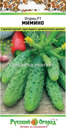 Скриншот 31-10-2024 102304