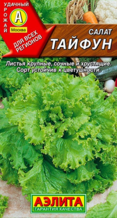 Салат Тайфун листовой 0,5г Ср (Аэлита) Салат Тайфун листовой 0,5г Ср (Аэлита)