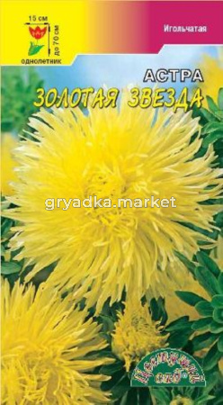 Астра Звезда Золотая игольч.Цвет.сад.