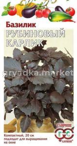 Базилик Рубиновый карлик 0,1г.Н13 Гавриш