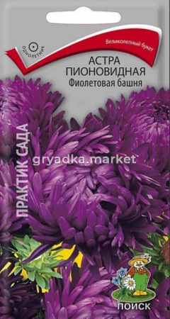 Астра Фиолетовая башня пионовидная 0,3г (Поиск)