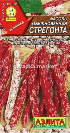 Фасоль Стрегонта зерн куст 5г Ранн (Аэлита)