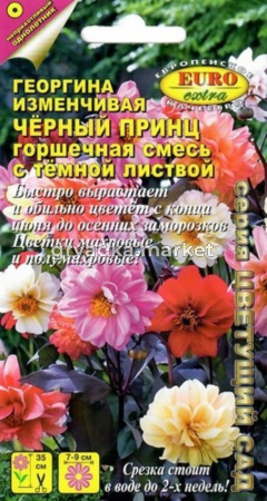 Георгина Черный принц 0,2г Мн смесь 35см (Аэлита)