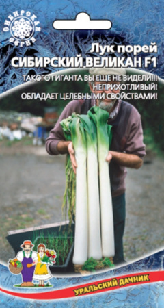 Лук порей Сибирский Великан F1 (УД) ЧСС