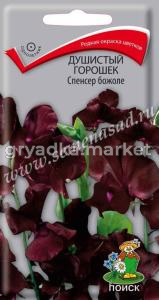 Душистый горошек Спенсер божоле 1гр. Поиск