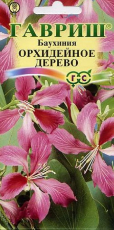 Баухиния Орхидейное дерево 1,0г Гавриш