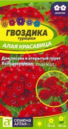 Гвоздика турецкая Алая красавица 0,2гр.-Сем.Алт