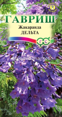 Жакаранда Дельта 3шт Гавриш