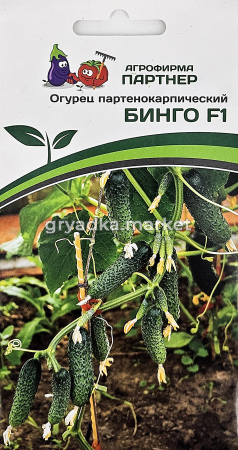 Огурец Бинго F1 5шт Парт Ранн (Партнер)