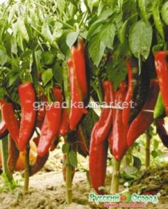 Перец острый Двойное изобилие F1 15шт НК