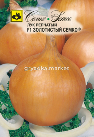 Лук репч. Золотистый Семко F1