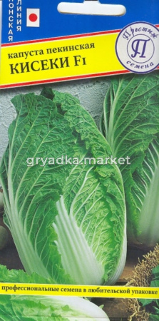 Капуста пекинская Кисеки F1, 10 шт, Новинка 2018 Престиж