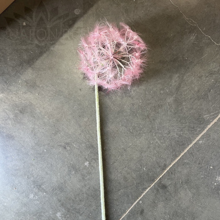 5zfs4bpr1boityzoc1ore7raa92ptf46 5zfs4bpr1boityzoc1ore7raa92ptf46