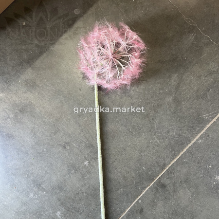 5zfs4bpr1boityzoc1ore7raa92ptf46