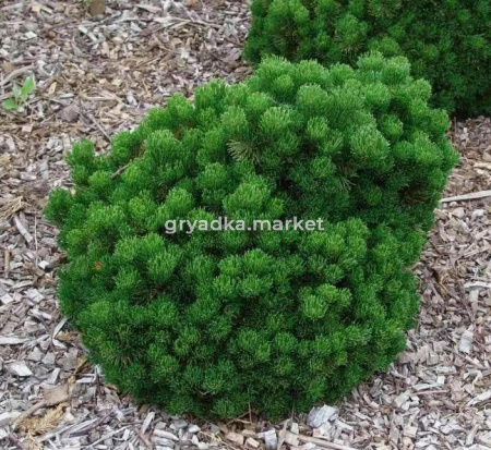 Скриншот 21-04-2026 151027