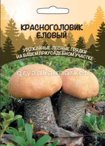 Мицелий Красноголовик гриб Еловый 30мл (ССПК) Б-Ф