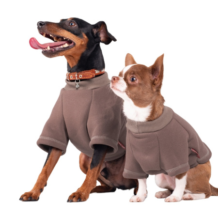 Толстовка р-р М спинка 22-24см, об.гр. 40-44см серый-Трезор